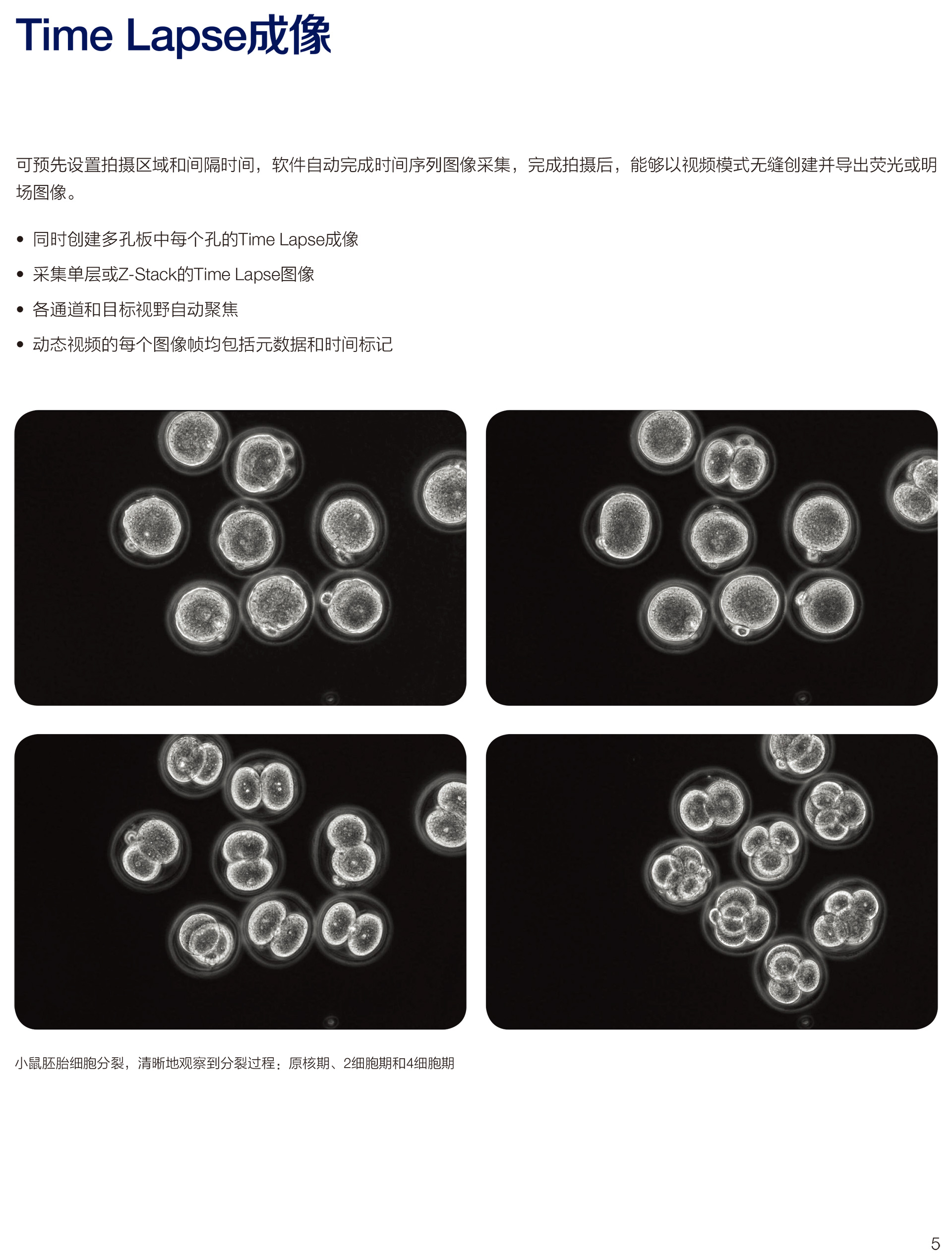 EVOS-M7000-应用彩页-7.jpg